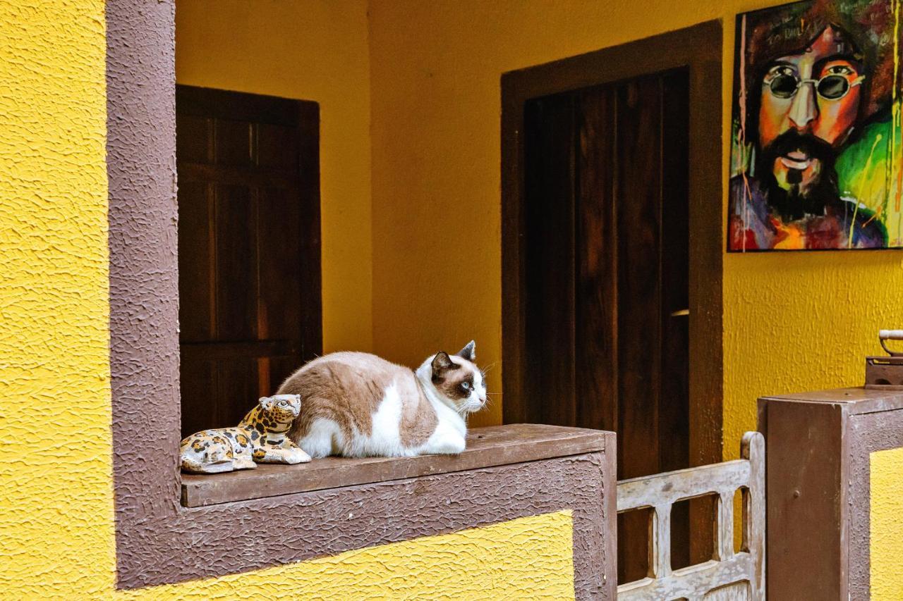 Chales Sol パラチ エクステリア 写真